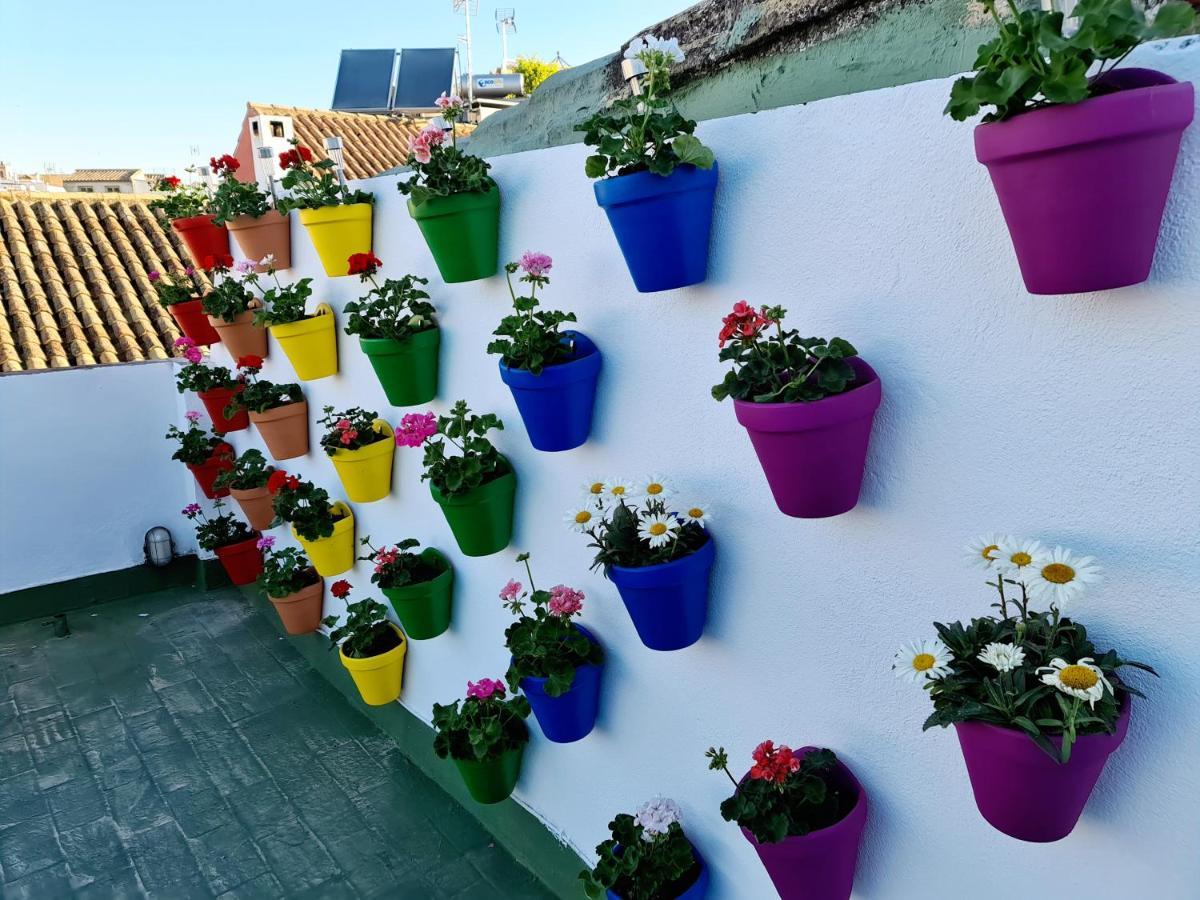 Hostal Funky By Arc House Kordoba Zewnętrze zdjęcie