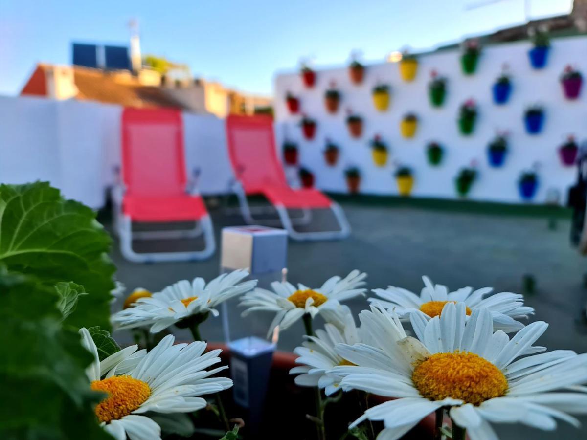 Hostal Funky By Arc House Kordoba Zewnętrze zdjęcie